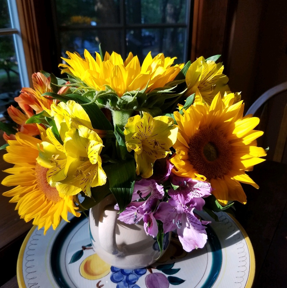 Meet your Posher, Pamela